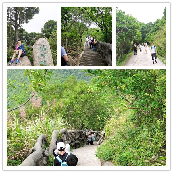 c116f0fd02 图片